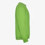 Sudadera niña Don't worry be capy (verde oasis) (lateral derecho)