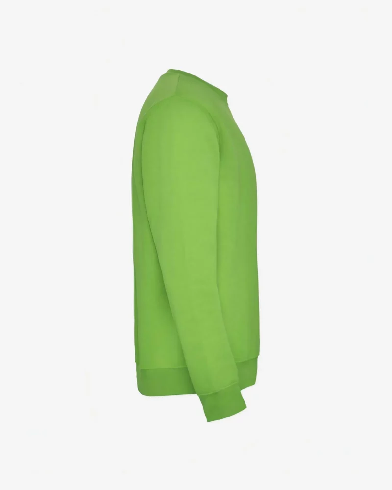 Sudadera niña Don't worry be capy (verde oasis) (lateral derecho)