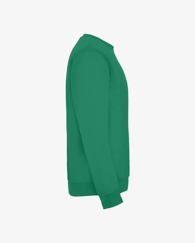 Sudadera niños Dinosaur Capybara (verde kelly) (lateral derecho)