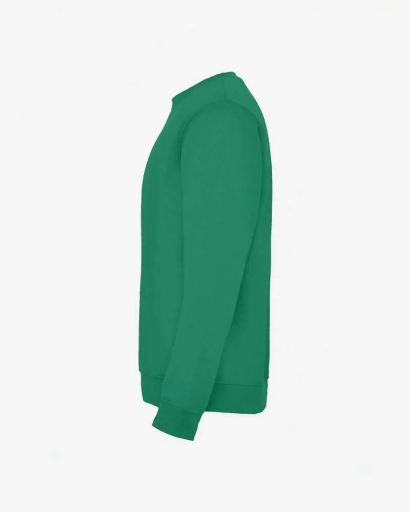 Sudadera niños Dinosaur Capybara (verde kelly) (lateral izquierdo)