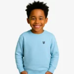 Sudadera niños Sydney Mr Trendy Bear (azul celeste) (delante)