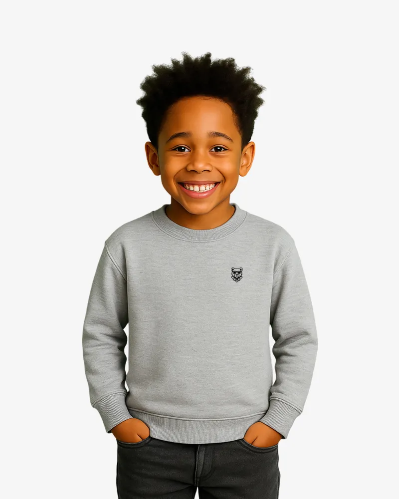 Sudadera niños Sydney Mr Trendy Bear (gris vigoré) (delante)