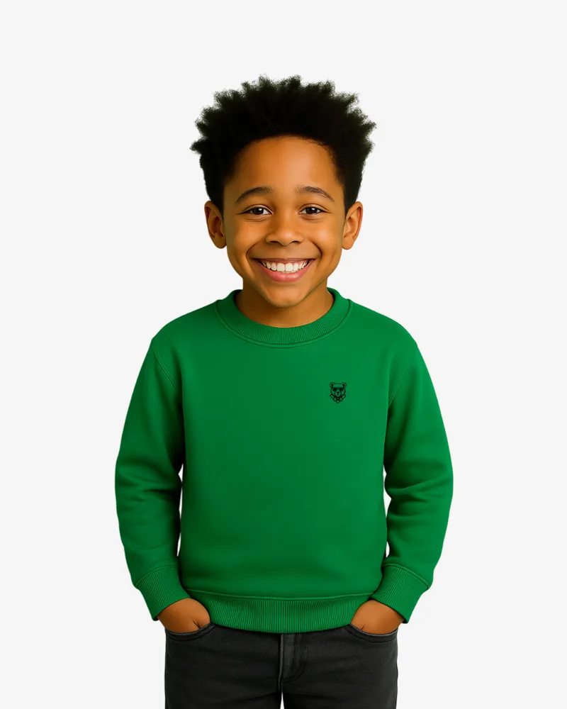 Sudadera niños Sydney Mr Trendy Bear (verde kelly) (delante)
